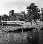 Ripon Cathedral and River Skell